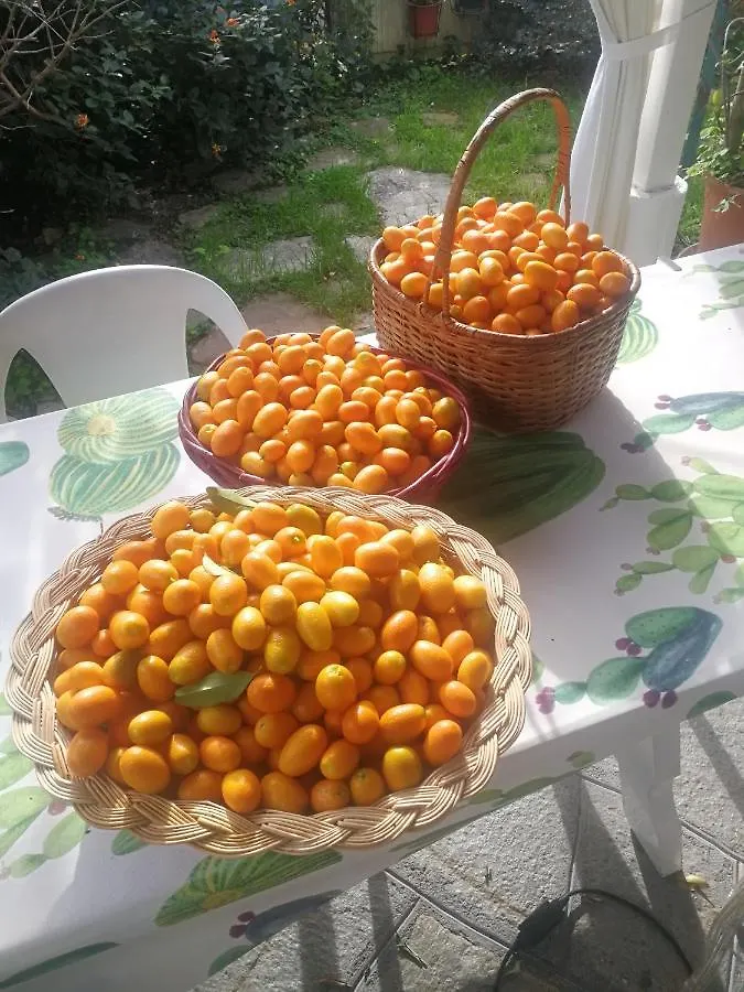 Comodo Con Giardino E Patio Sanremo