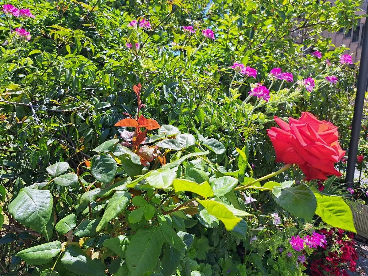 Comodo Con Giardino E Patio Sanremo Apartment